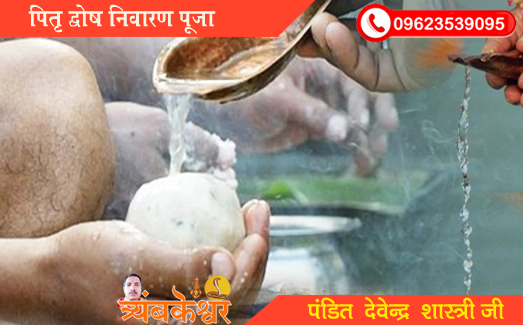 Best Pandit Pitra Dosh Nivaran Pooja Trimbakeshwar Mandir/Temple