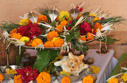 Kaal Sarp Puja Trimbakeshwar Nashik